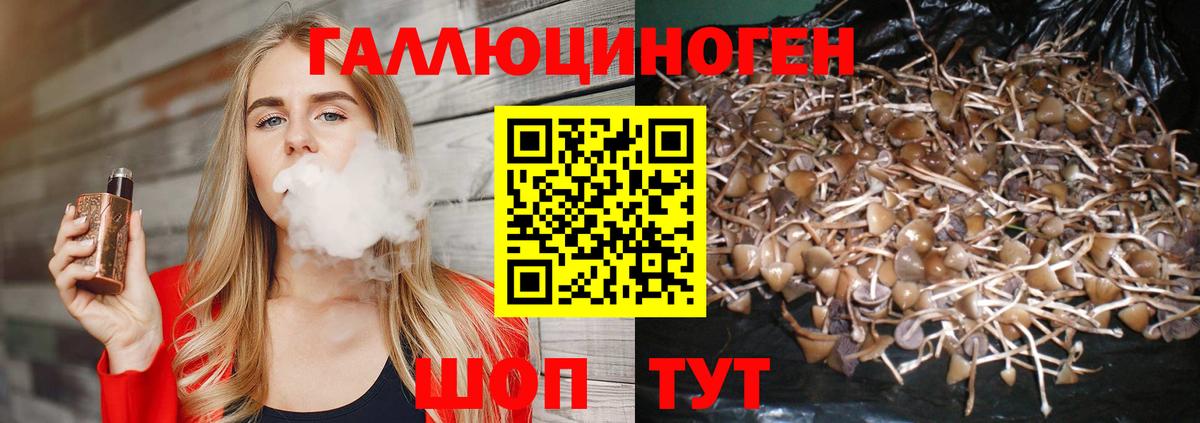 Лысьва  Псилоцибиновые грибы ЛСД  Вход с VPN  Галлюциногенные грибы мицелий 
